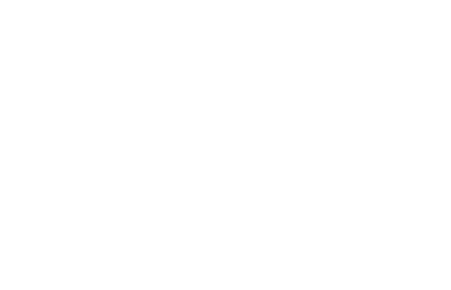 Spazzole 'Hatho' - nucleo in legno - setola nera - convergenti - 50X2 - 1250H